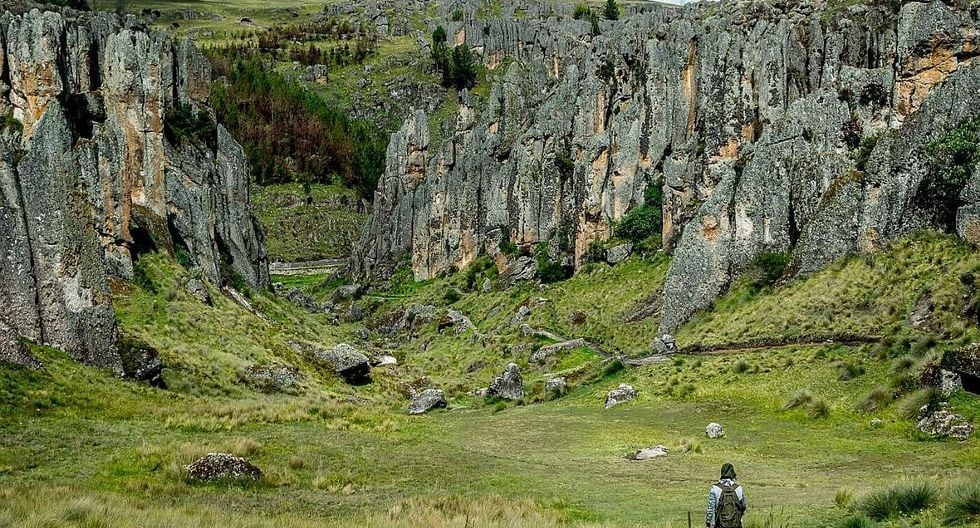 Cinco Bosques De Piedra M S Impresionantes Del Per Fotos Tendencia