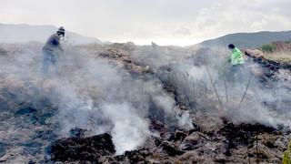 Acusan a guardaparque de ocasionar incendio forestal en el Parque Arqueológico de Pikillaqta, en Cusco