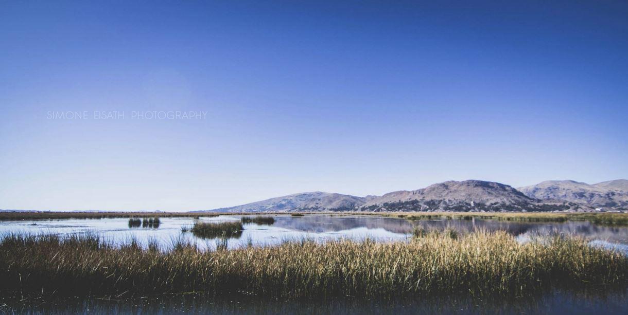 Puno: Solo algunas partes del Titicaca están contaminadas