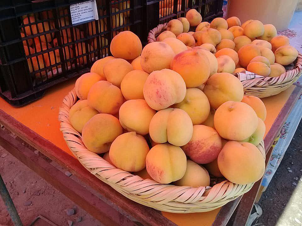 Producción de durazno mejoró en Calana