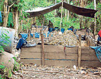 Hallan laboratorio de droga y poza de maceración