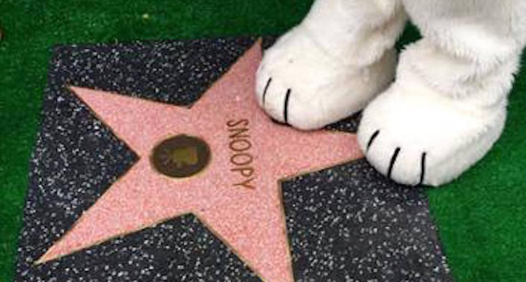 ​ Snoopy ya tiene su estrella en Hollywood