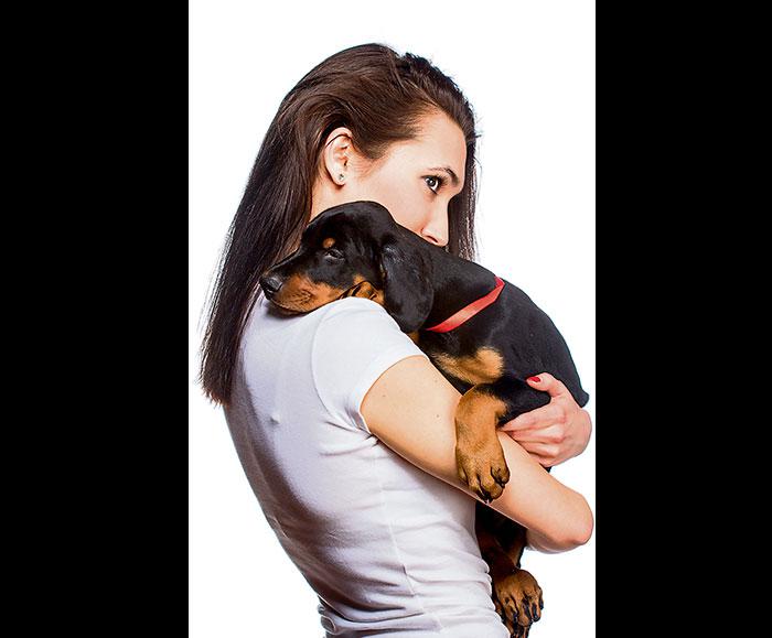 Ciencia: Perros y gatos sienten amor por otros animales y seres humanos