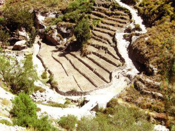 Una alternativa para
 disfrutar la naturaleza