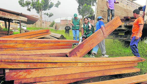 ​Junín: madera ilegal llega y sale por tres rutas