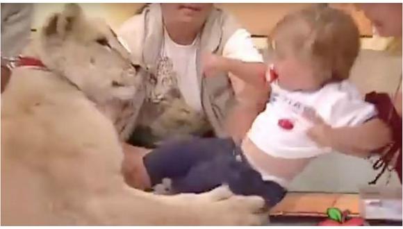 YouTube: Leona ataca a niña en pleno programa en vivo (VIDEO)