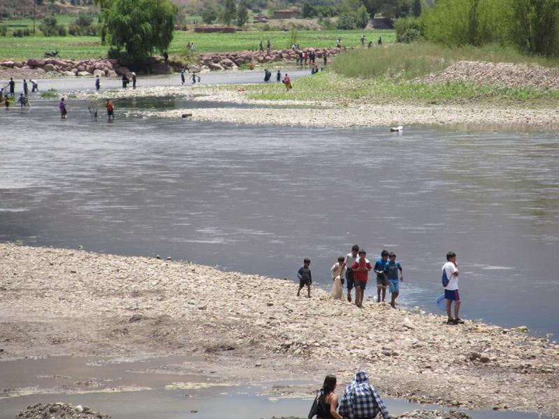 Cusco: Cientos de peces aparecen muertos en Río Vilcanota