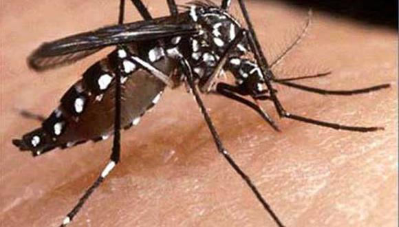 Alerta en Brasil: registran más de 7.600 casos de dengue
