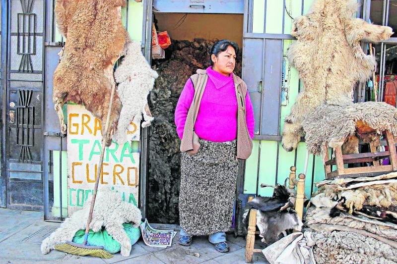 Vendedores de vellón en quiebra por cierre de empresa 