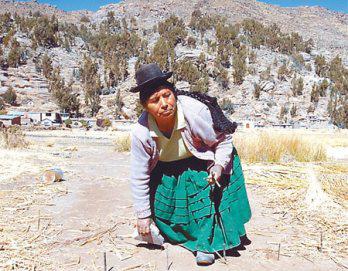 Puno y Pasco registran bajo gasto en inversión