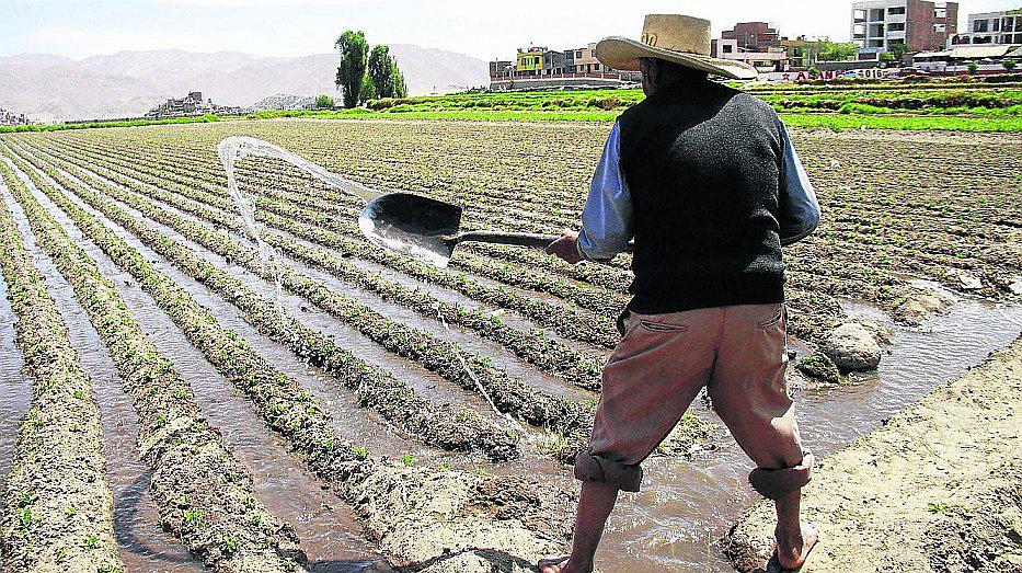 Áncash: La crisis de la agricultura por la escasez del agua 
