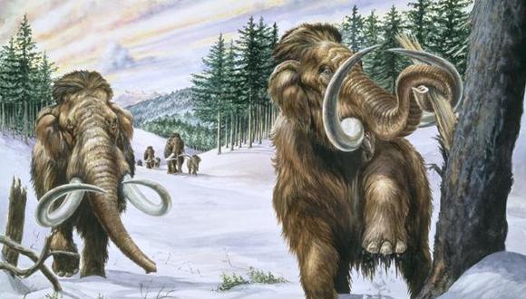 Los mamuts se extinguieron por problemas metabólicos, según científicos rusos