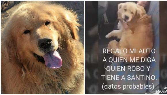 Argentina: Aparece el perro por el que ofrecían un auto como recompensa (FOTOS Y VIDEO)