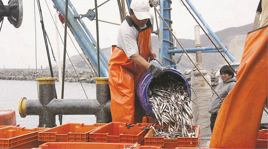 Chimbote: Seis puertos y los motoristas piden parar la pesca  