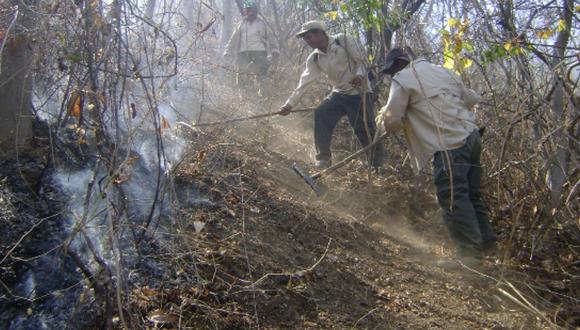 PCM alista declaratoria de emergencia por incendios forestales en Lambayeque y Cajamarca