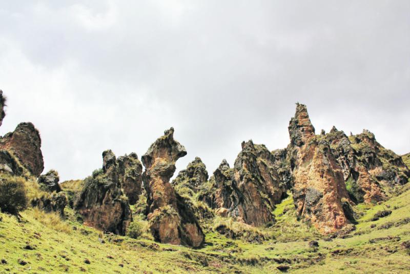 Hallan bosque de piedras que data de 6 millones de años 