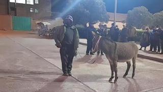 Lampa: intentaron sacar en burro al alcalde de tras suspenderse sesión