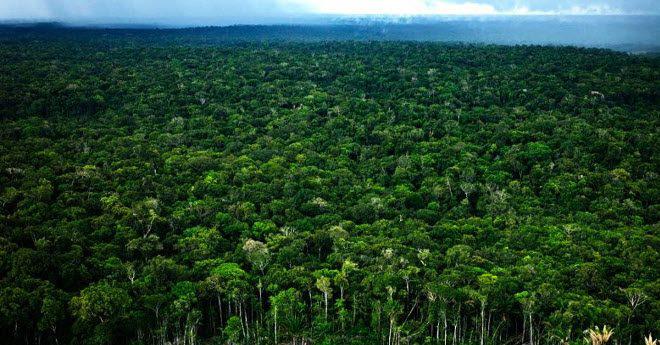 Indígenas en aislamiento: Ministerio de Cultura coordina intervención multisectorial para protección de comunidad