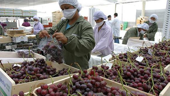 Exportaciones de uva y palta se incrementaron