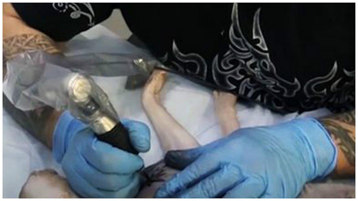 Indignante: tatuó a su gato para 'perpetuar' su arte (FOTOS)