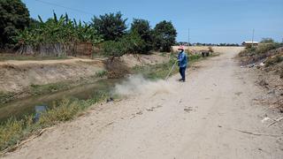 Piura: Erradican redes clandestinas de agua en Paita