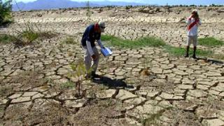 Hoy presentarán informe para la declaratoria de emergencia por sequía en el Alto Piura