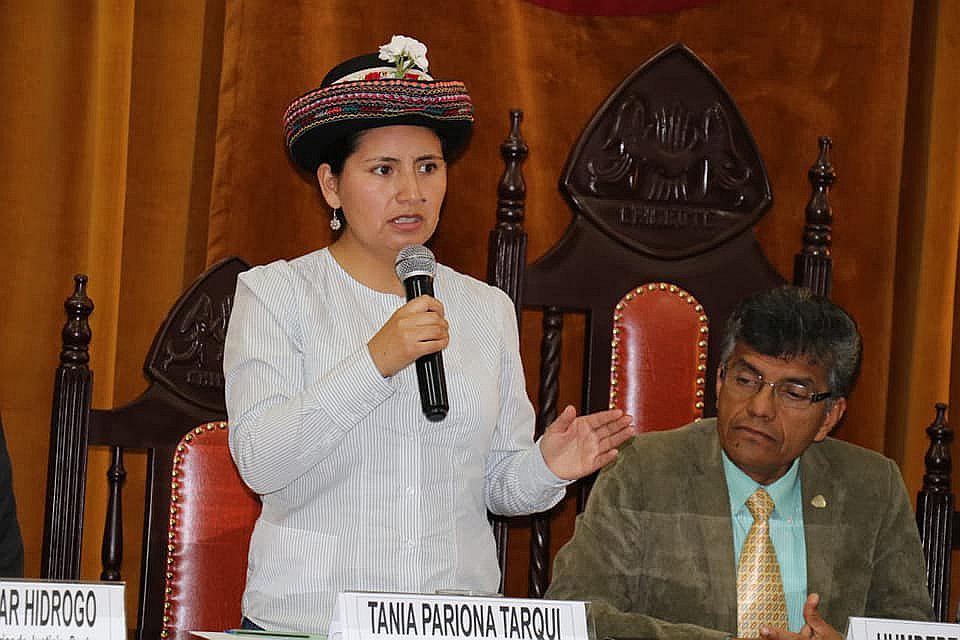 Congresista Tania Pariona denunció ser víctima de insultos racistas mediante redes sociales