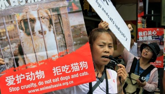 China: Activistas protestan por Festival de carne de perro que comienza hoy