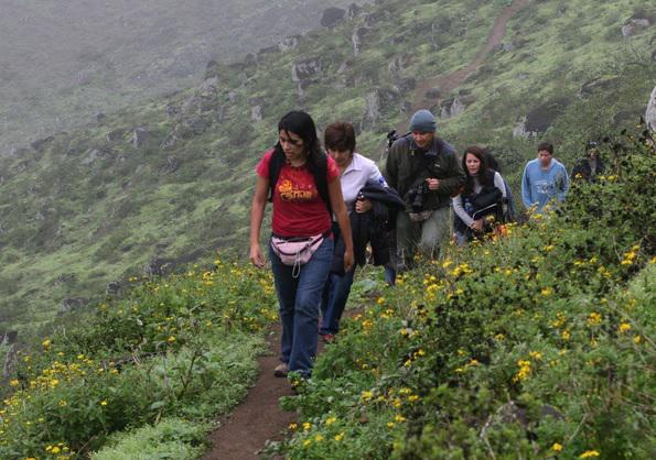 Pachacámac ofrece caminatas, procesión y gastronómica por 441 aniversario
