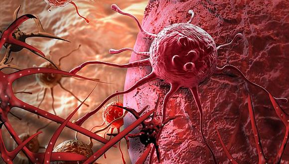 Observan en vivo la evolución de un cáncer desde la primera célula
