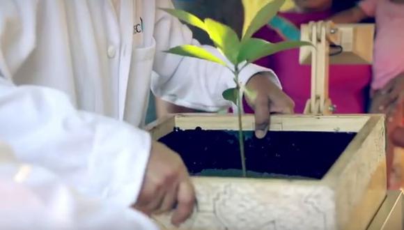 YouTube: Alumnos crean "Plantalámparas" para alumbrar pueblos de la selva (VIDEO)
