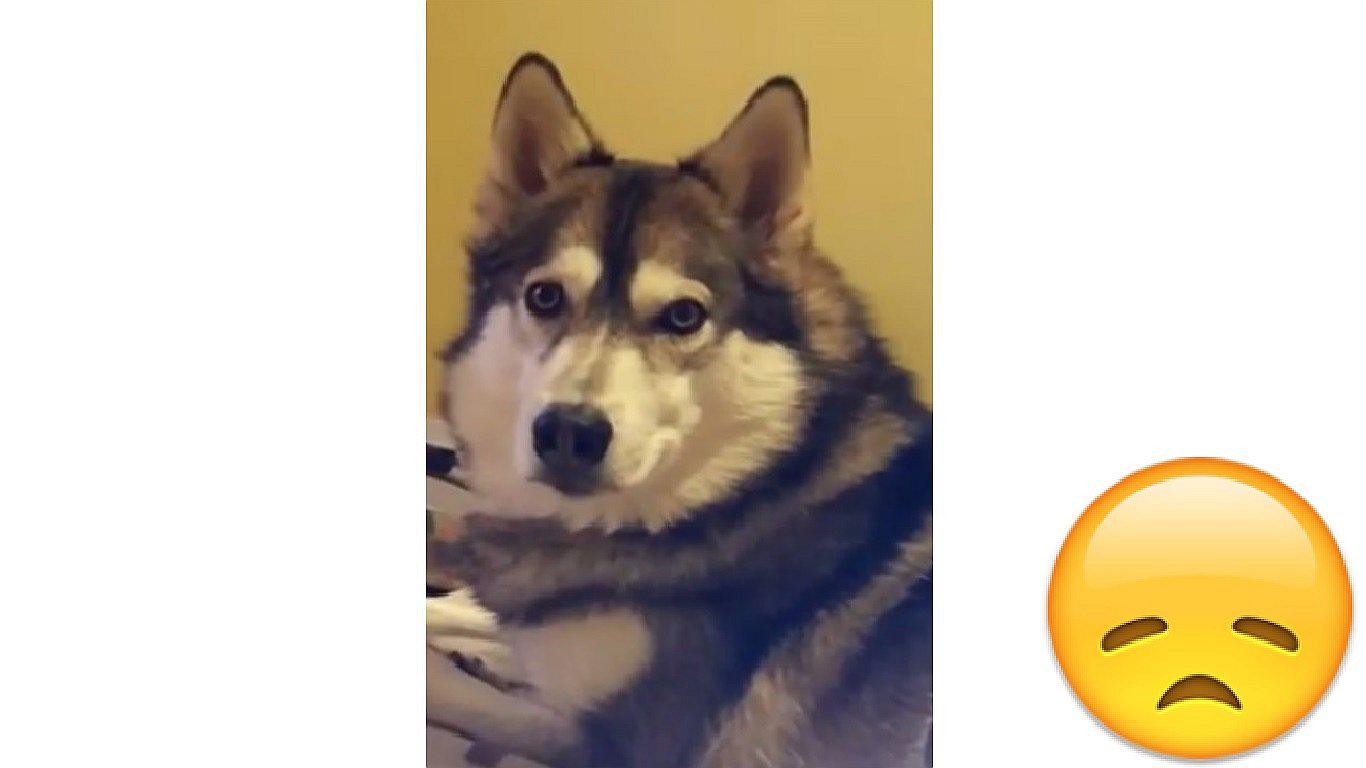 Le dicen que es adoptado y su peculiar reacción remece Facebook (VIDEO)