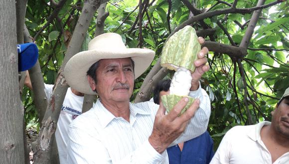 Piura: Tres muestras de cacao peruano seleccionadas entre las 50 mejores del mundo
