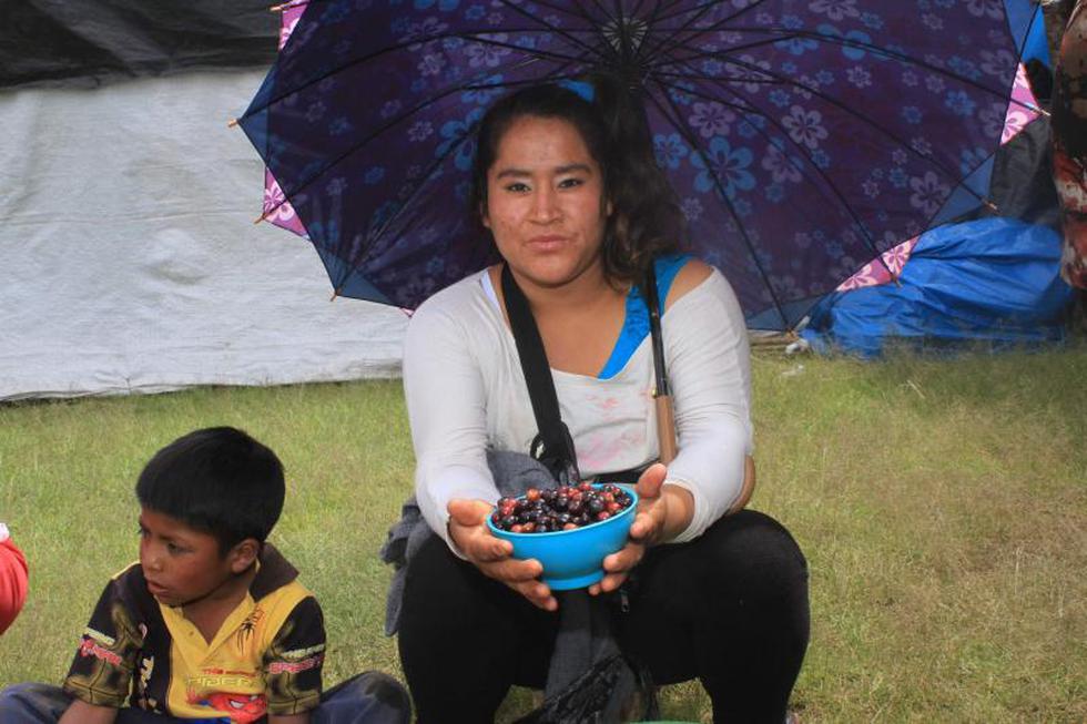 La guinda en su máximo esplendor en festival de Huamancaca Chico 