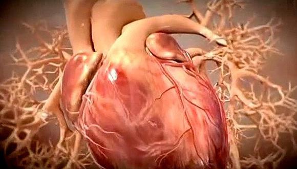 Estudio revela una terapia con células madre que regenera corazones