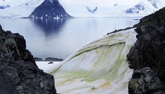 Confirman los primeros casos de COVID-19 en la Antártida. (Foto referencial: AFP)