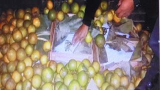 Chanchamayo: PNP decomisa 163 kilos de hoja de coca 