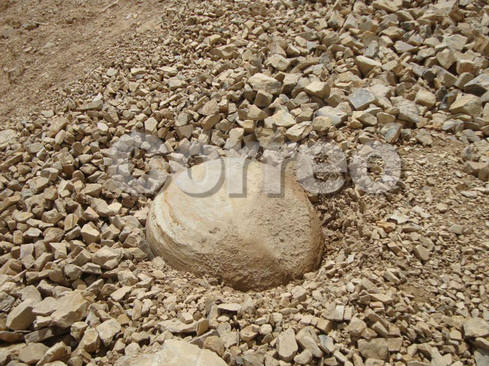 En cerro de Huachac hallan fósiles prehistóricos (VIDEO)