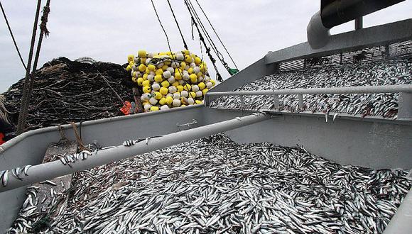 ​Primera temporada de pesca de anchoveta iniciará el jueves 12 de abril