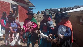 Bono agrario no da esperanza a campesinos ni ganaderos en Huancavelica