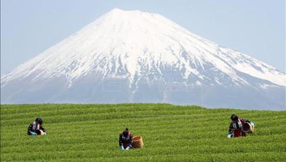 Volcán Fuji ingresa a lista de patrimonio de la humanidad