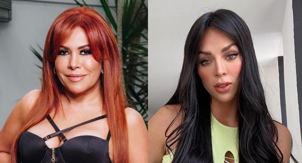 Magaly Medina calls Tula Rodríguez a widow, Sheyla Rojas celebrates her 34 years and more celebrity news Farándula nndc |  SHOWS