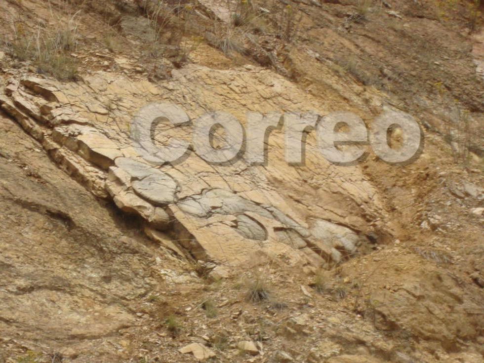 En cerro de Huachac hallan fósiles prehistóricos (VIDEO)