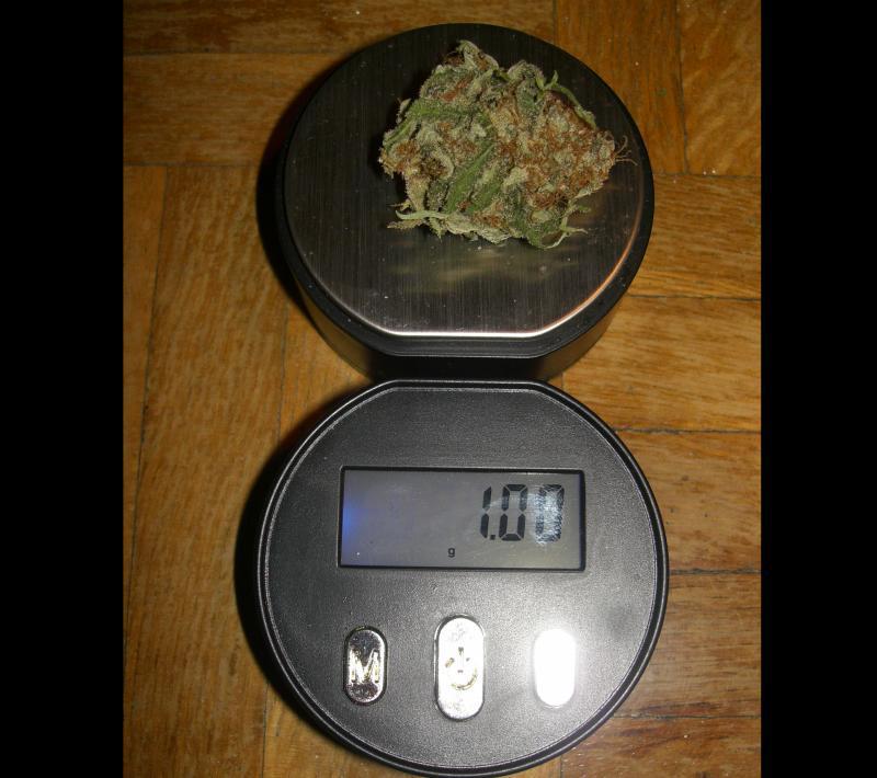 Uruguay venderá legalmente marihuana a menos de un dólar el gramo