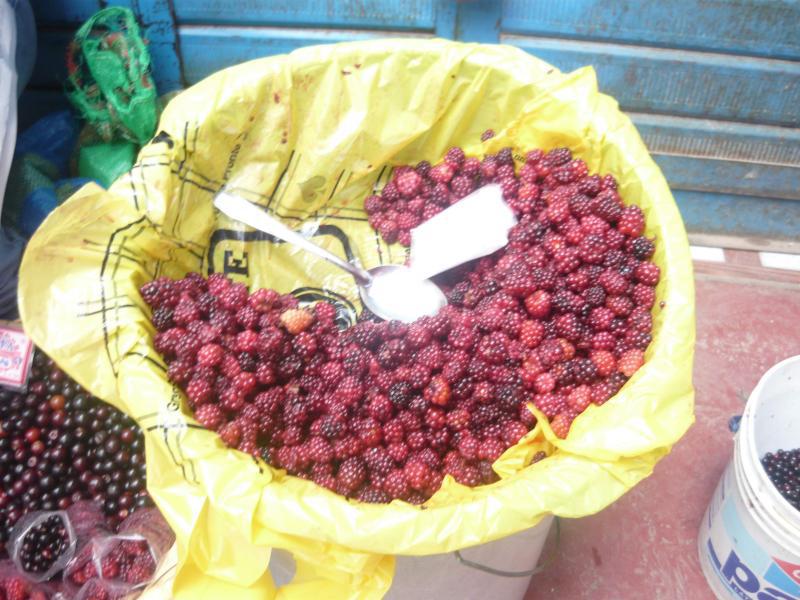 La mora, pequeña joya silvestre, está de vuelta