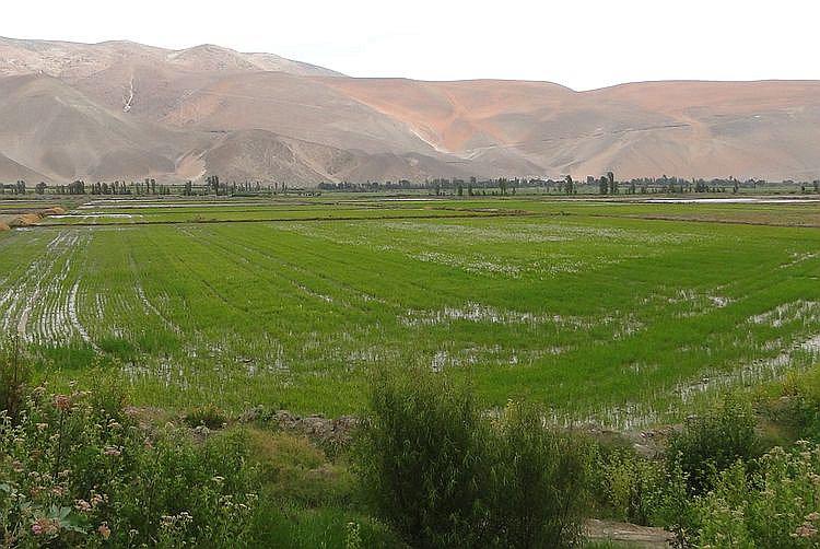 ​Construcción de represa Paltuture se negociará con las nuevas autoridades