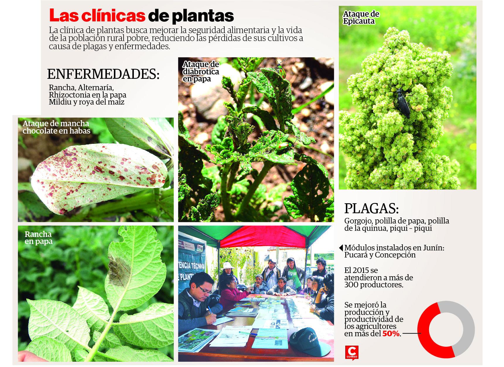 ​Clínica de plantas: Una necesidad agrícola que busca reducir plagas y enfermedades
