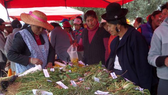 Puno: Exponen plantas medicinales en Viernes Santo 