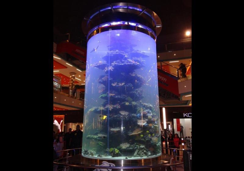 Inauguran acuario más grande de Sudamérica en centro comercial