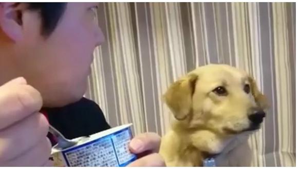 Facebook: este perro tiene hambre pero el orgullo le gana [VIDEO]